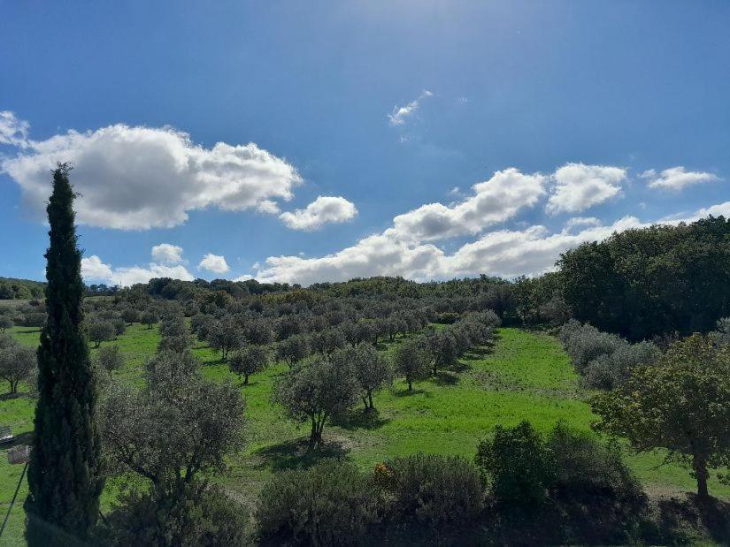 Agriturismo Barbi Monticchiello Extérieur photo