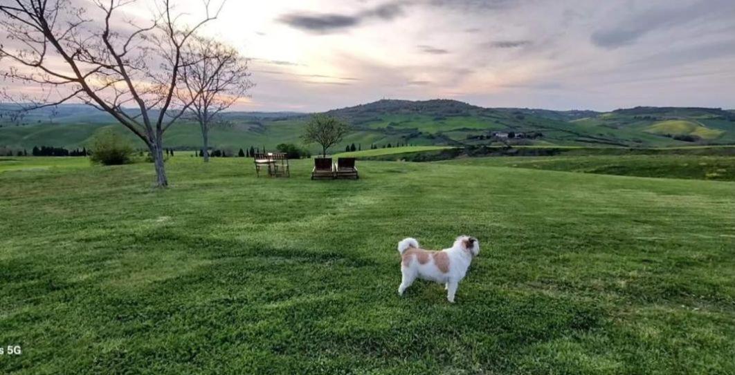 Agriturismo Barbi Monticchiello Extérieur photo